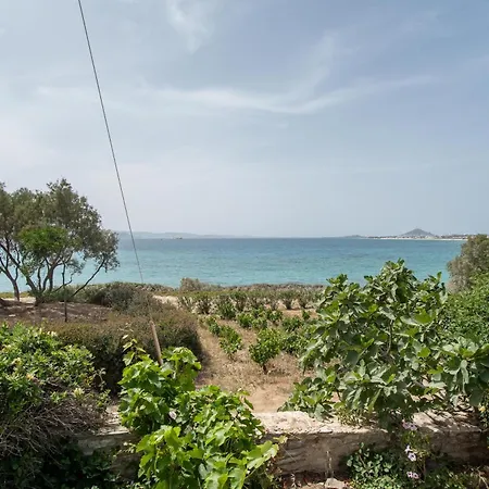 別荘 Orkos View House Naxos City