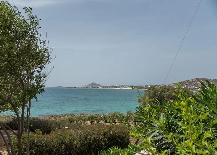 Orkos View House Holiday home Naxos City